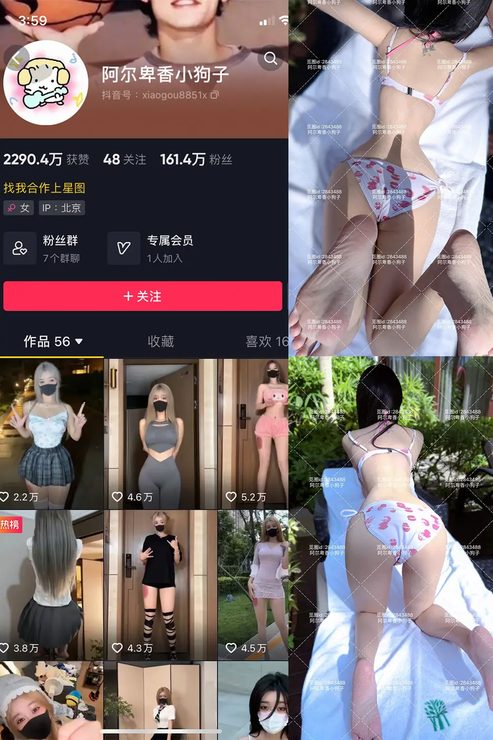 抖音 阿尔卑香小狗子 微密圈 NO.060期 【17P】最新至：2025.2.8-美美写真
